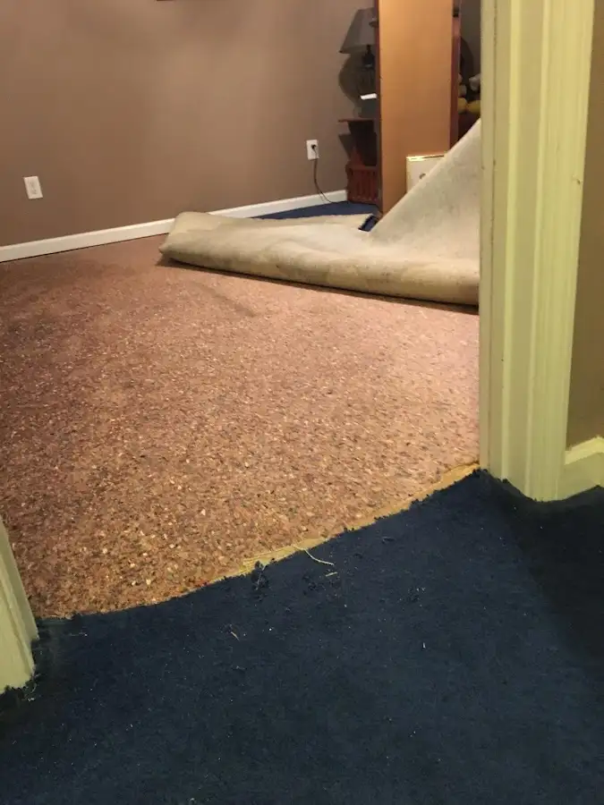 Carpet pad removal revealing water damage during Drying & Dehumidification in Pasadena