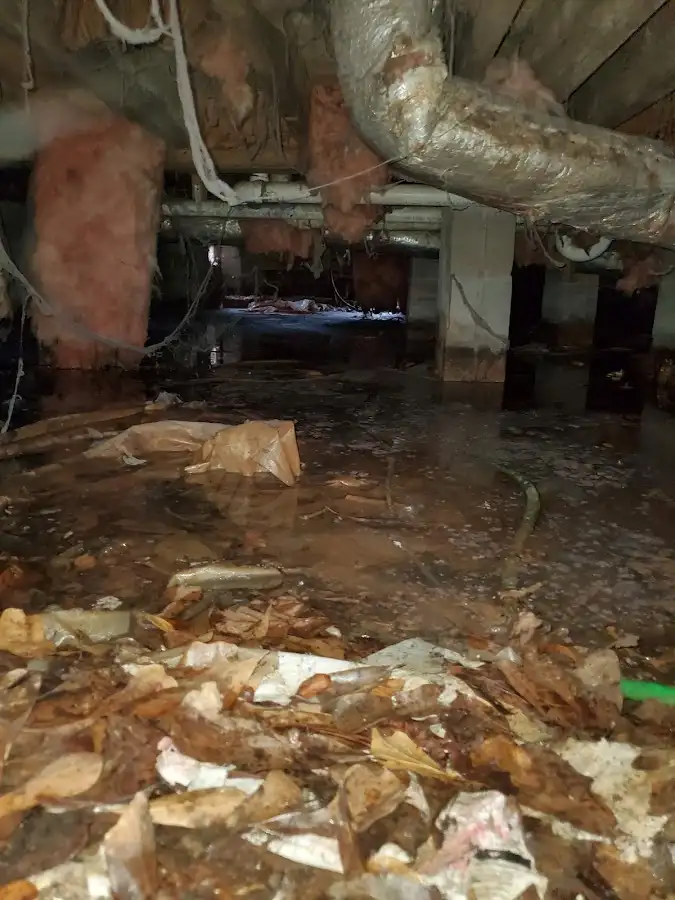 Crawl space flood assessment for Commercial Water Damage Restoration in Pasadena